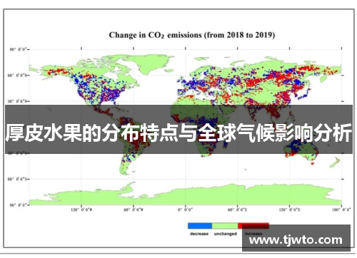 厚皮水果的分布特点与全球气候影响分析